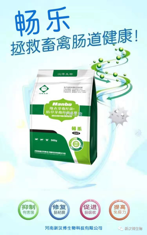 飼料禁抗後，斷奶仔豬腹瀉問(wèn)題将更為(wèi)嚴重，養豬人(rén)如(rú)何應對(duì)